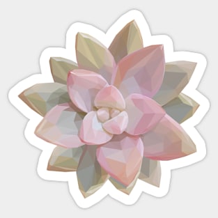 Pink Succulent Sticker